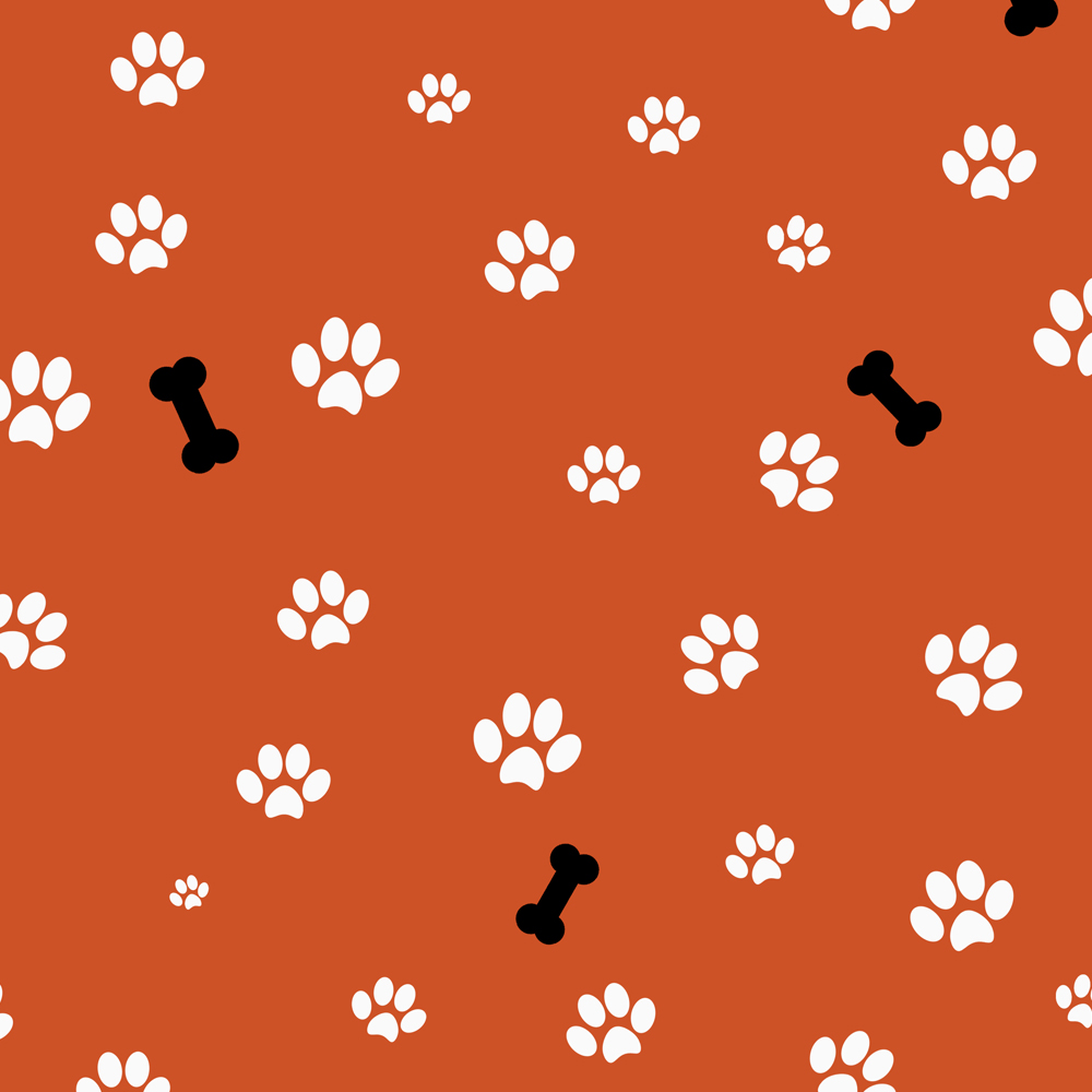 Dog Paw Print & Bone Gift Wrap Orange-GP136