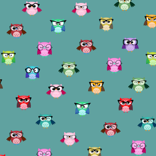 Cute Owls Gift Wrap-Blue GP198