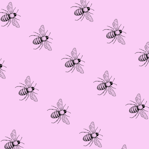 Bee Gift Wrap-Pink-GP216