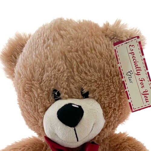 Large Cuddly Teddy Bear