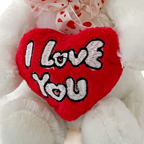 Teddy I Love You